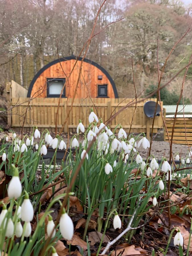 Hotel Loch Ness Woodland Pods à Drumnadrochit Extérieur photo