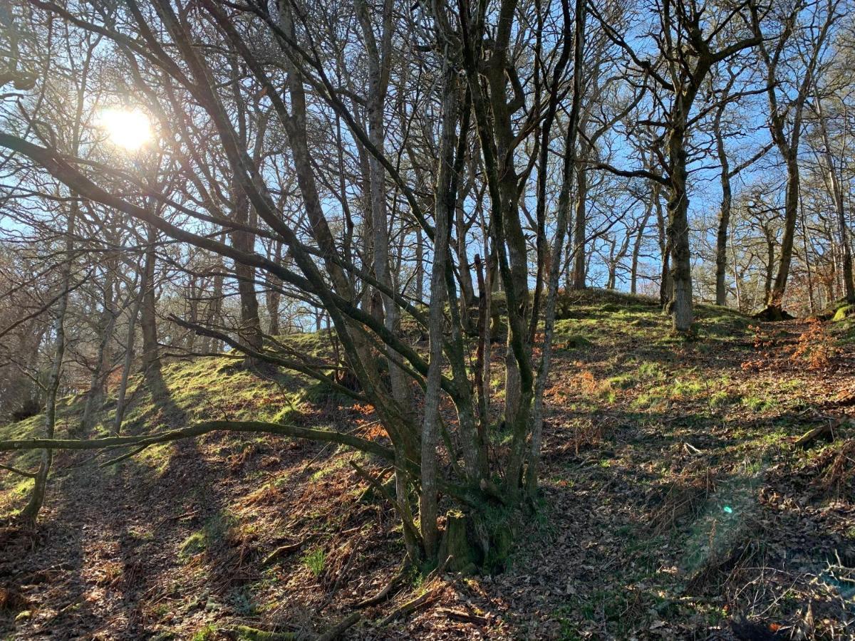 Hotel Loch Ness Woodland Pods à Drumnadrochit Extérieur photo